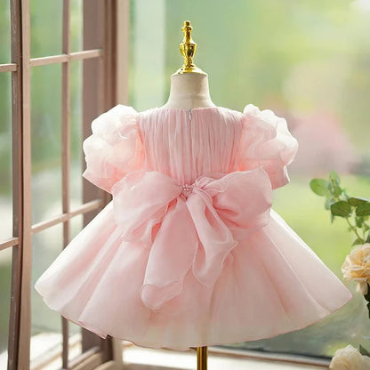 Floryme Tutu Organza Dress for Birthday Party & Flower Girl