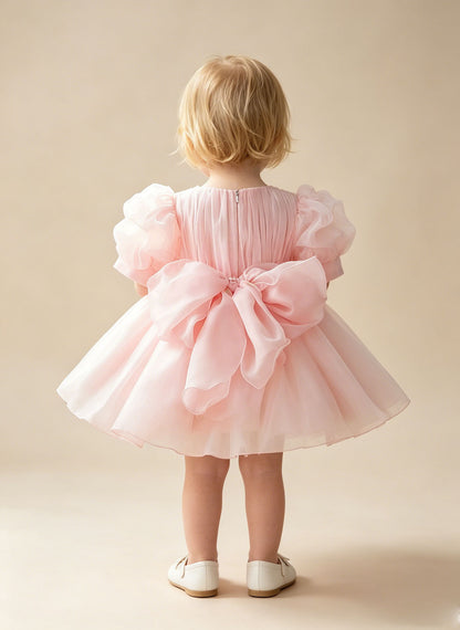 Floryme Tutu Organza Dress for Birthday Party & Flower Girl